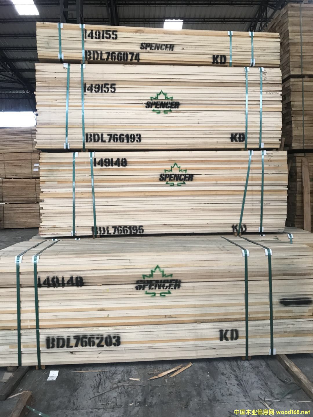 白蠟的詳細(xì)介紹