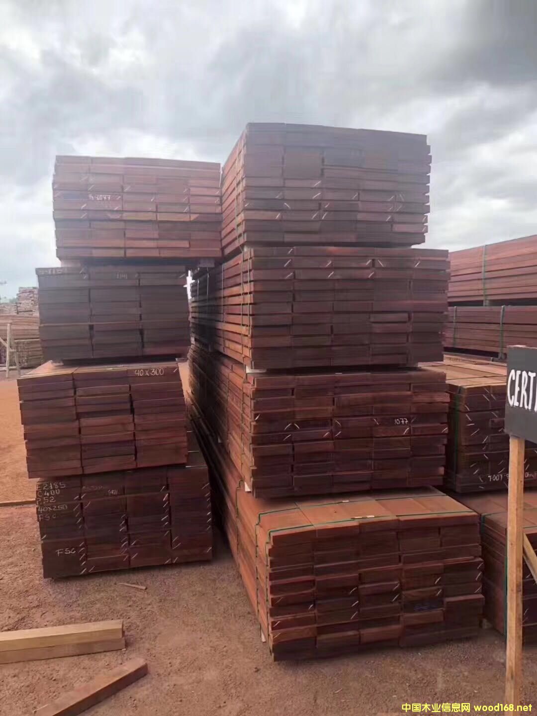 巴西花梨的詳細(xì)介紹