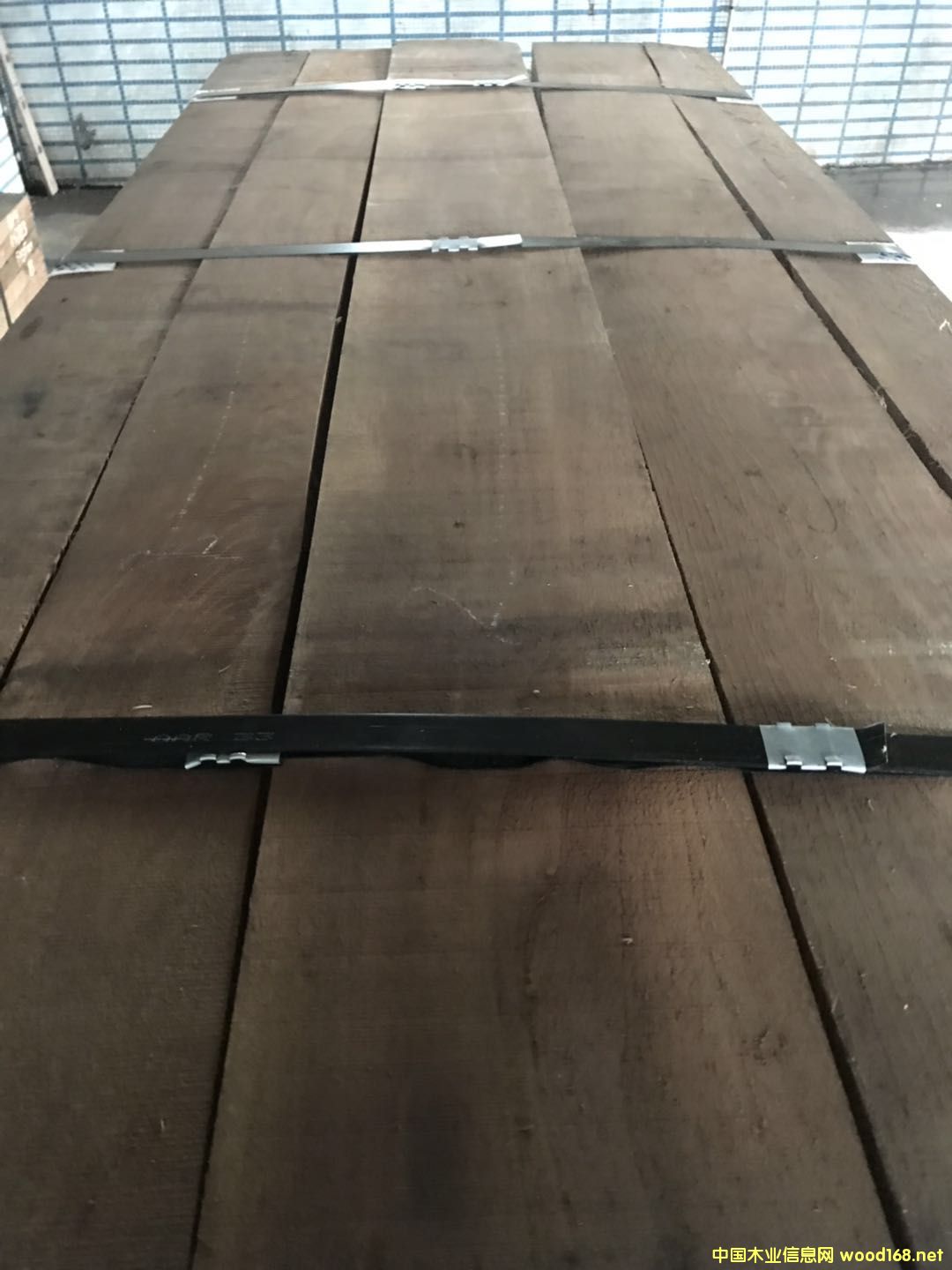 黑胡桃的詳細(xì)介紹