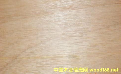 ��(x��)ľ����