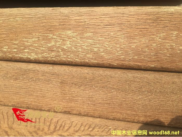 ����ľʲô�r�� �Ϻ�����ľ�S��