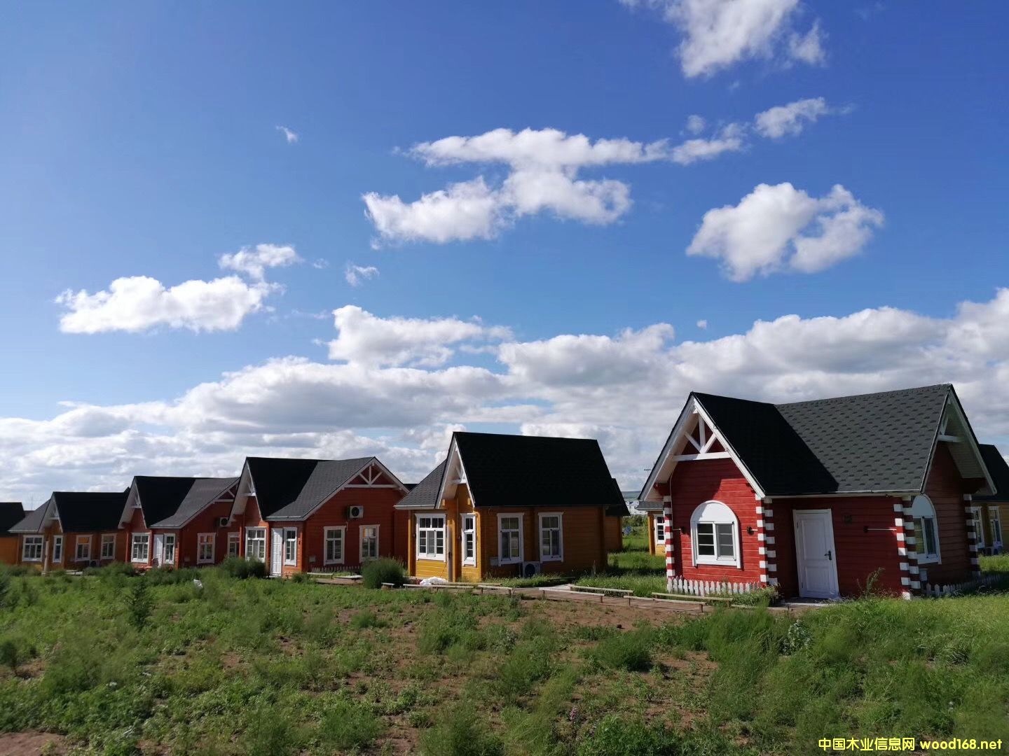 ľ�ݏS��  ľ�݄e�������X