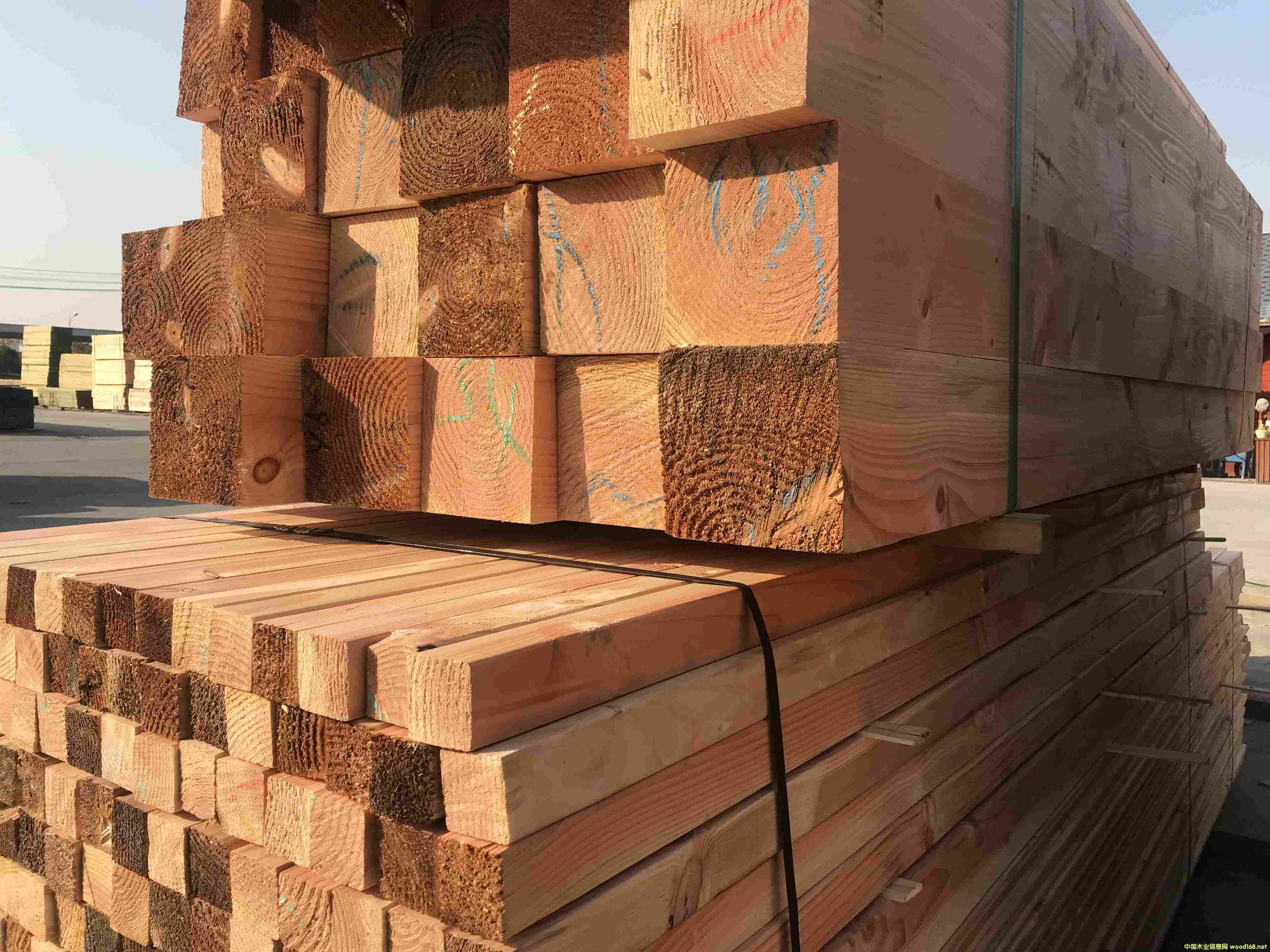  �����ɹŽ���ľ�� �������b����ľ��