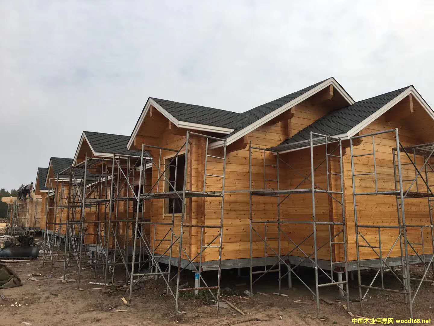 ľ�ݶ��ƏS��  ����ľľ�݃r��