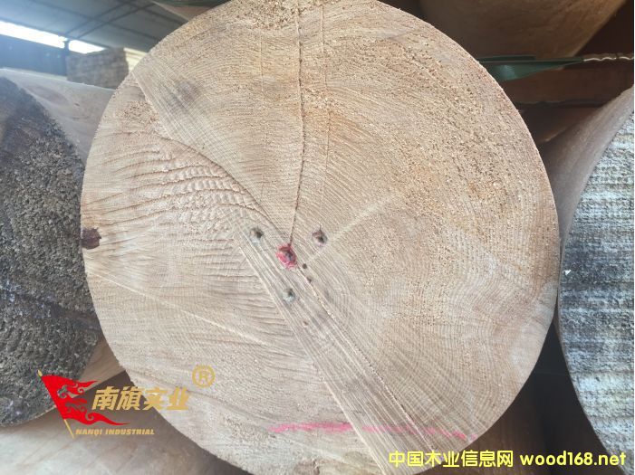 �Ϻ��Fɼľ��  �Fɼ����ľ���S��