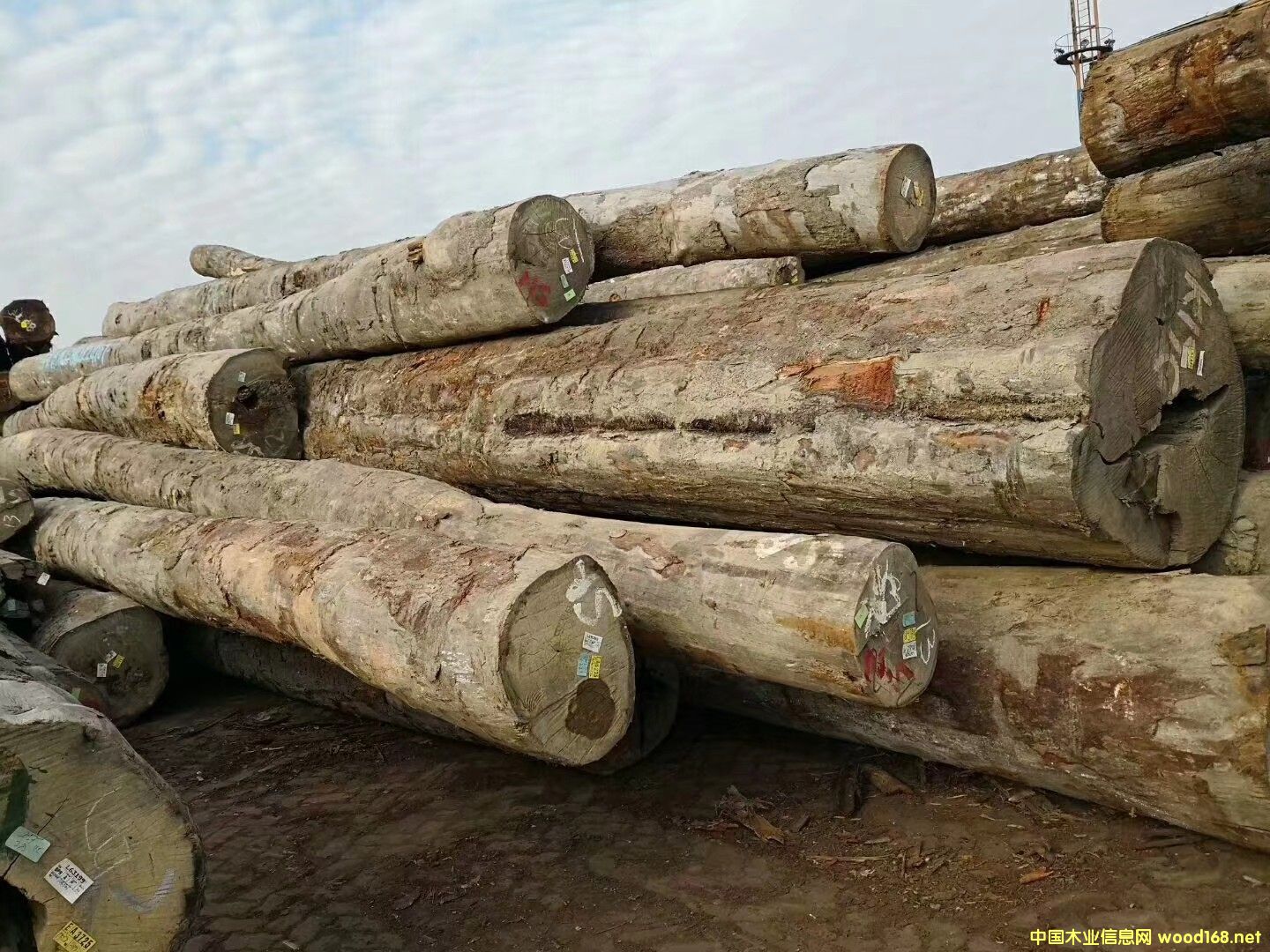 �R��(l��i)����