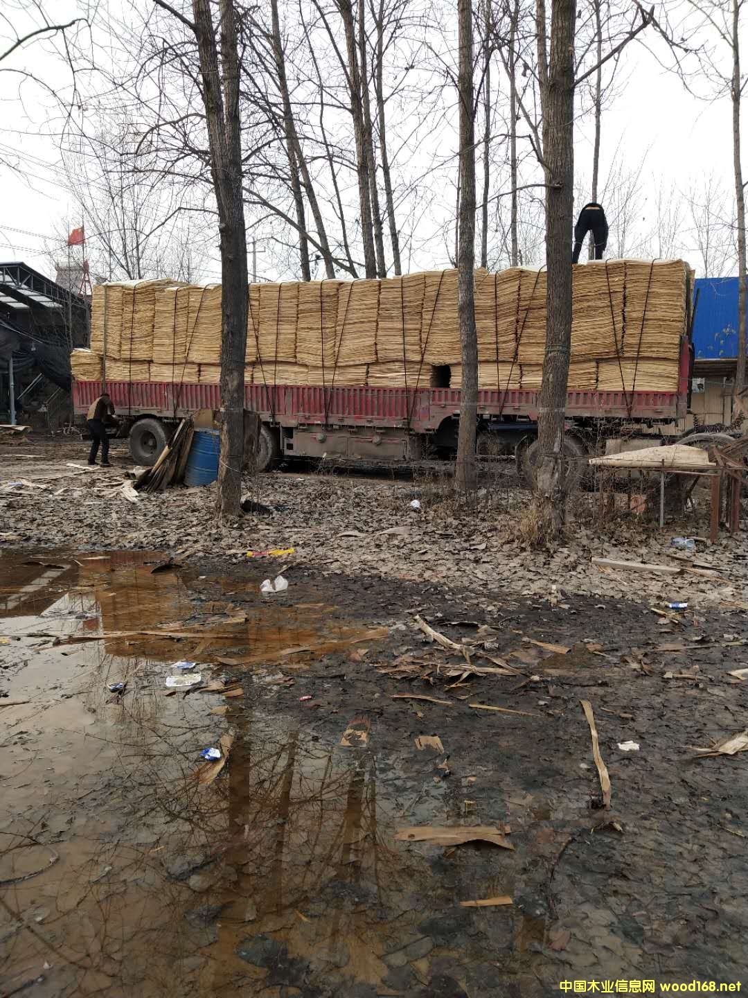 ��ĵ�Ԕ��(x��)��B