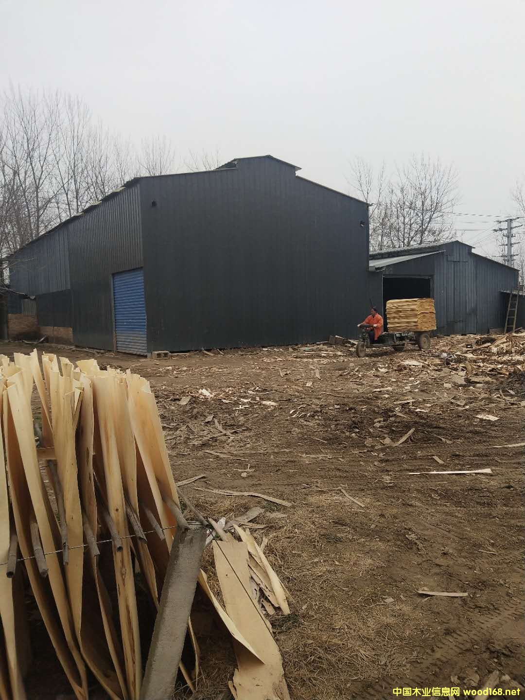 ��ĵ�Ԕ��(x��)��B