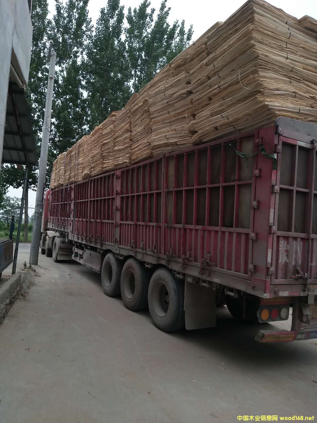 板材的詳細介紹