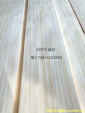 ��(y��u)�|(zh��)��ȻKotoֱ�yľƤ