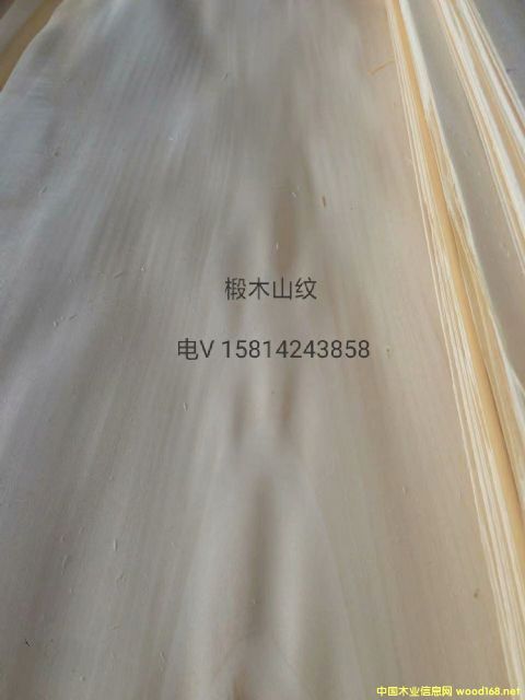 ��(y��u)�|(zh��)��Ȼ�ľɽ�yľƤ