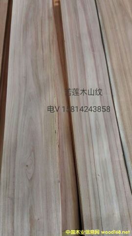 ��(y��u)�|��Ȼ��ɏľɽ�yľƤ