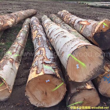 �W�ޗ�ľ��Ԕ����B