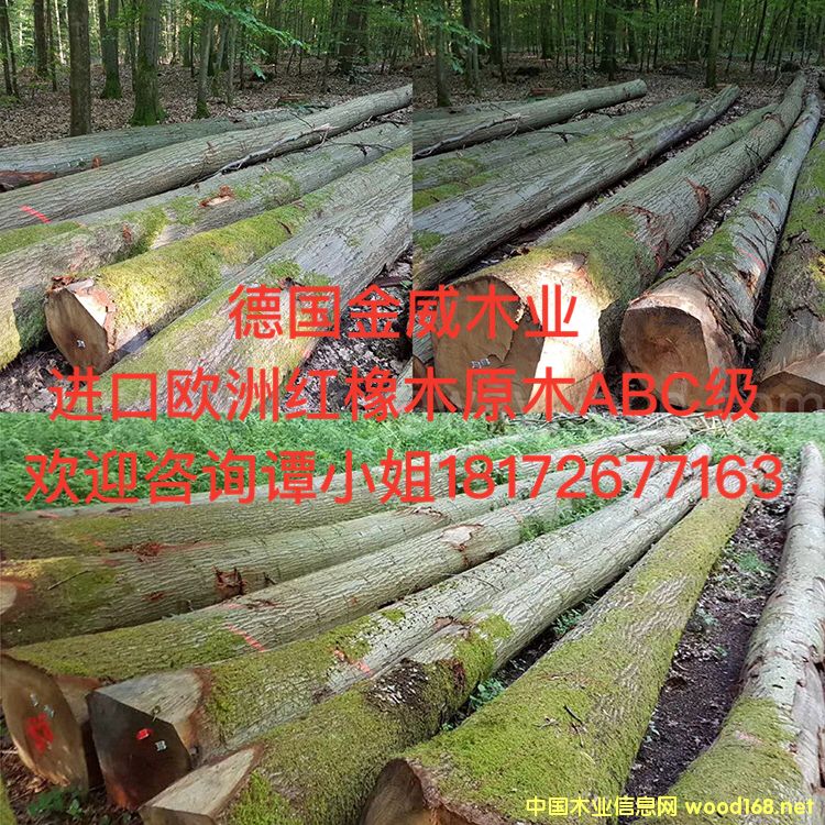 �W�޼t��ԭľ��Ԕ����B