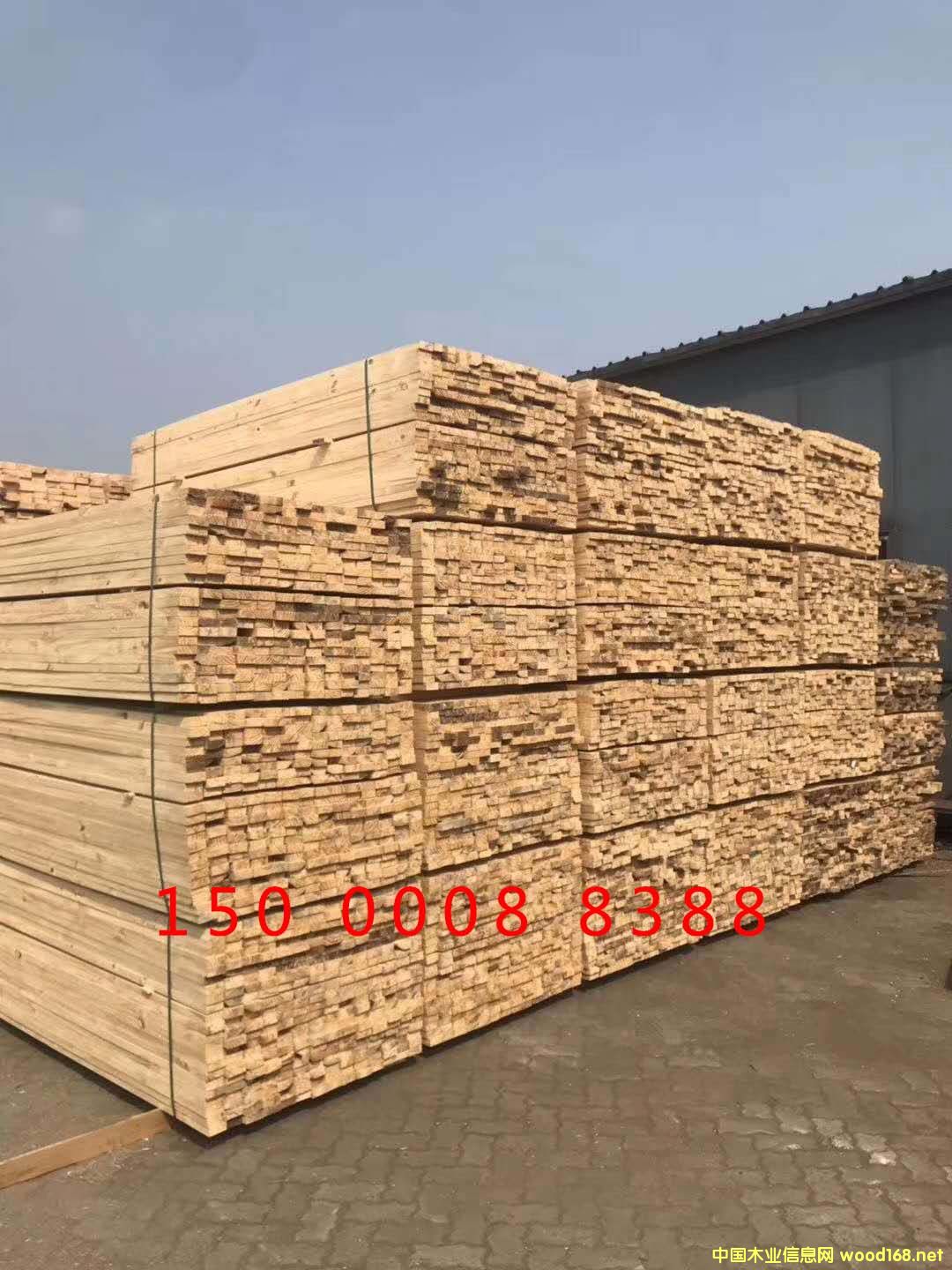 �Fɼ��Ԕ��(x��)��B