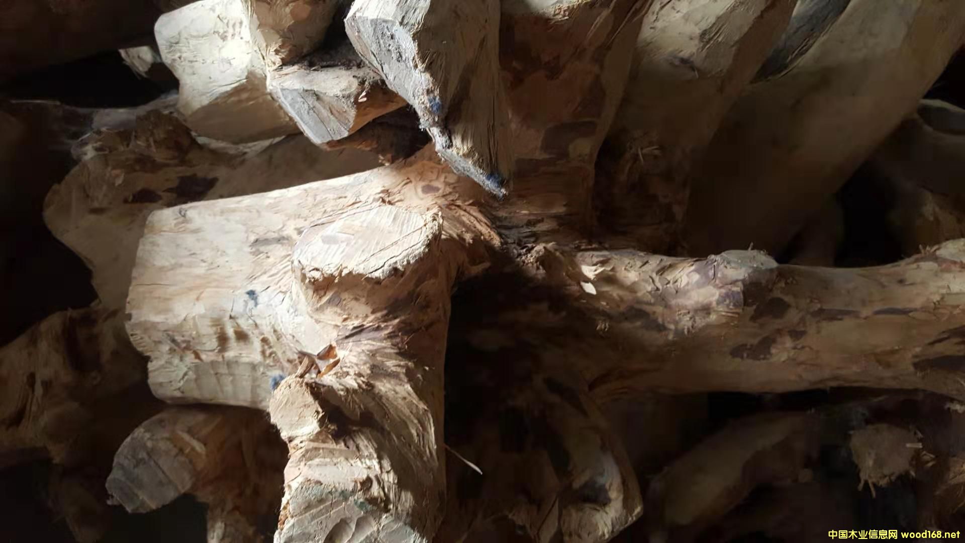 檀香木的詳細(xì)介紹