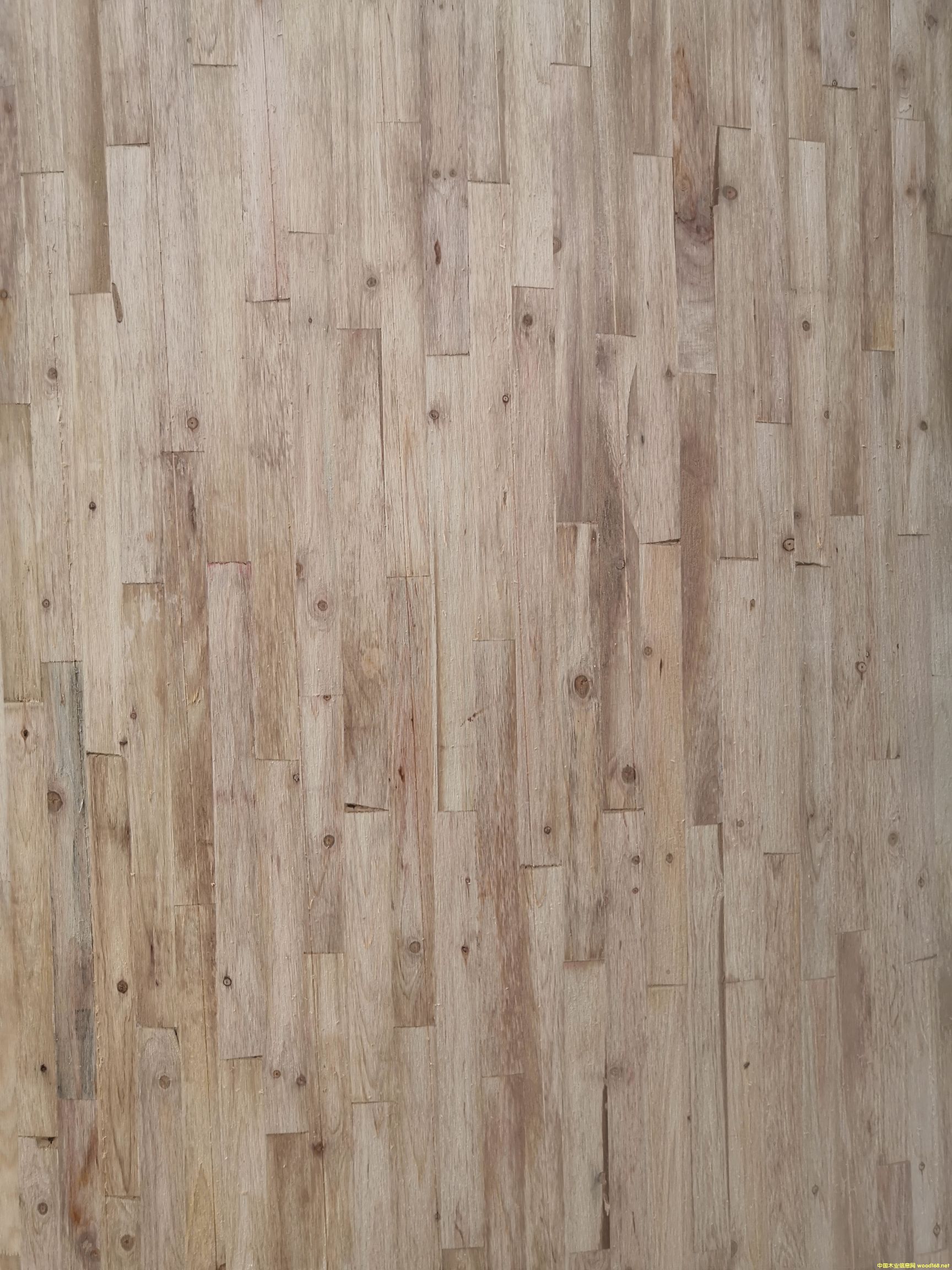 ����ľ���B(t��i)��