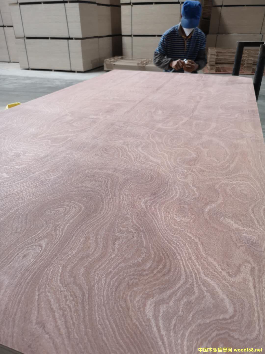 ��ĵ�Ԕ��(x��)��B