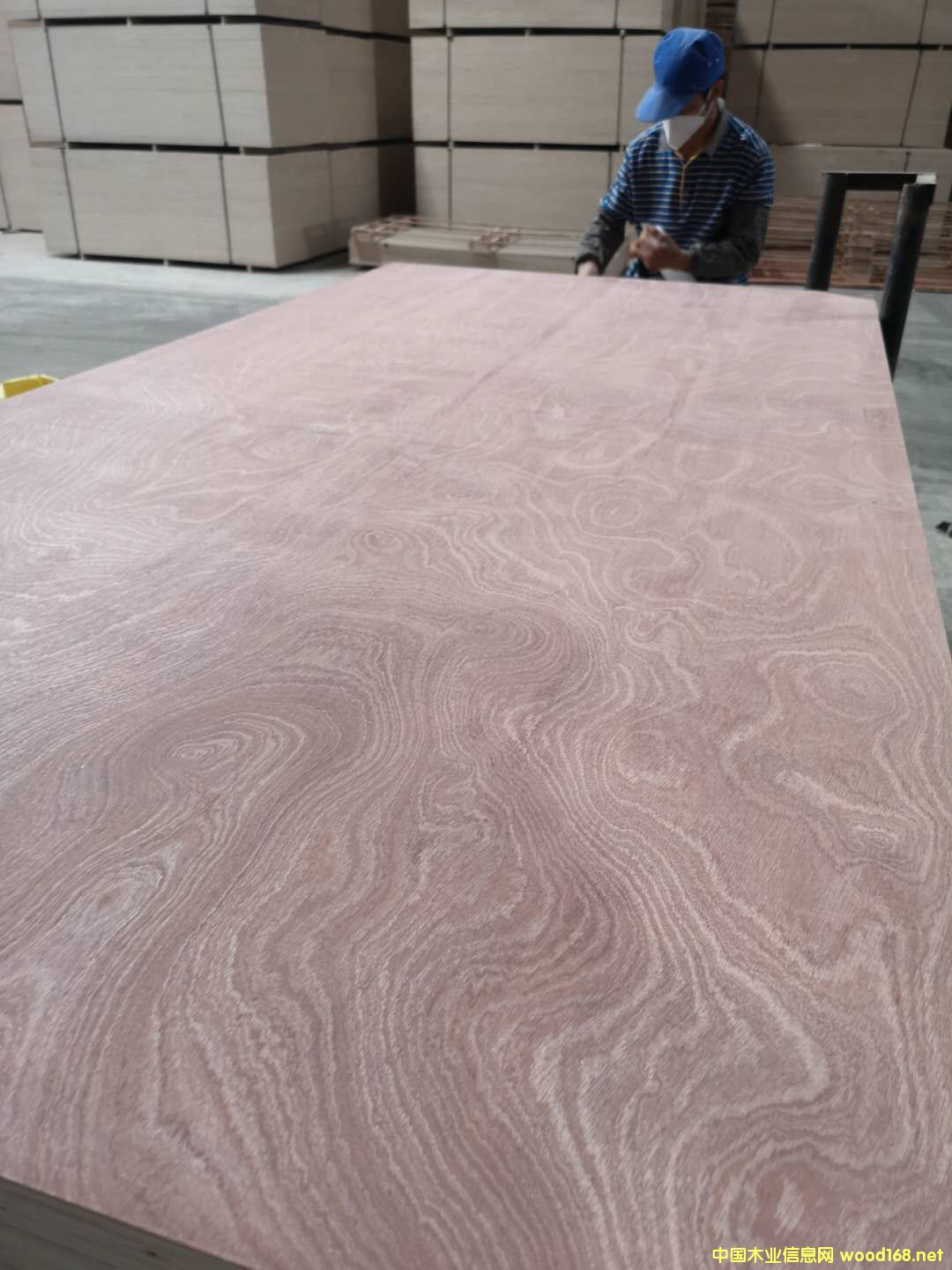 ��ĵ�Ԕ��(x��)��B