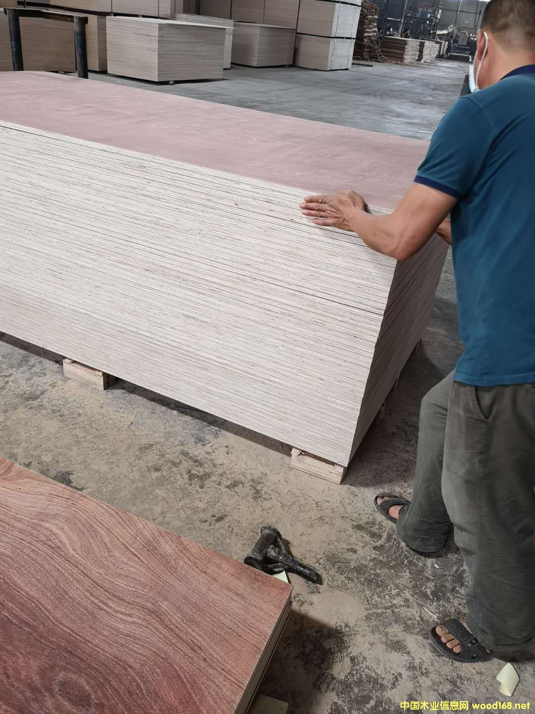 ��ĵ�Ԕ��(x��)��B