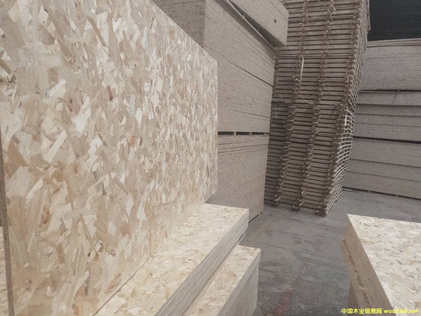  ɽ�|��ǧ����OSB�W�ɰ�