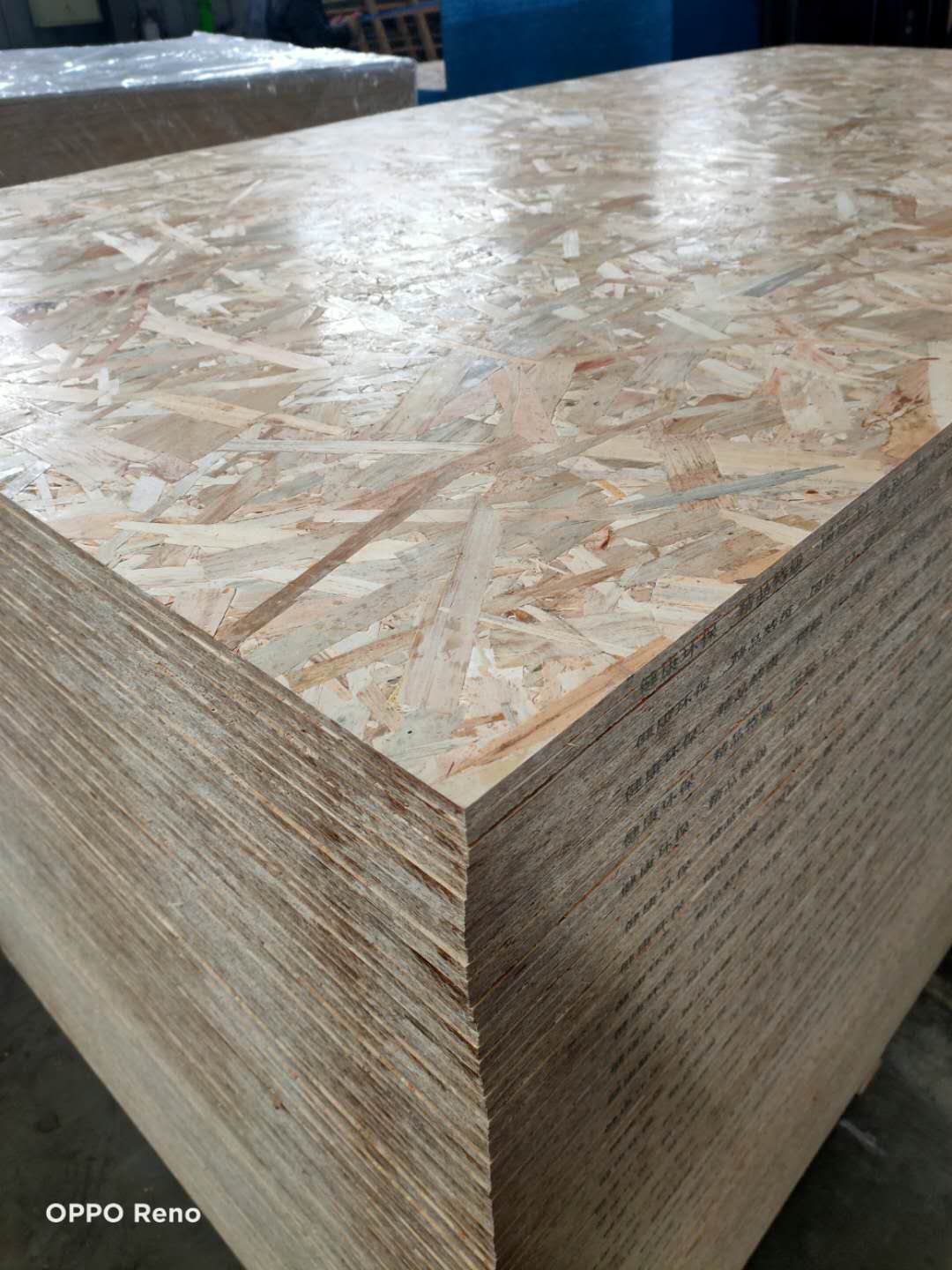 [��] OSB�W�ɰ�S��