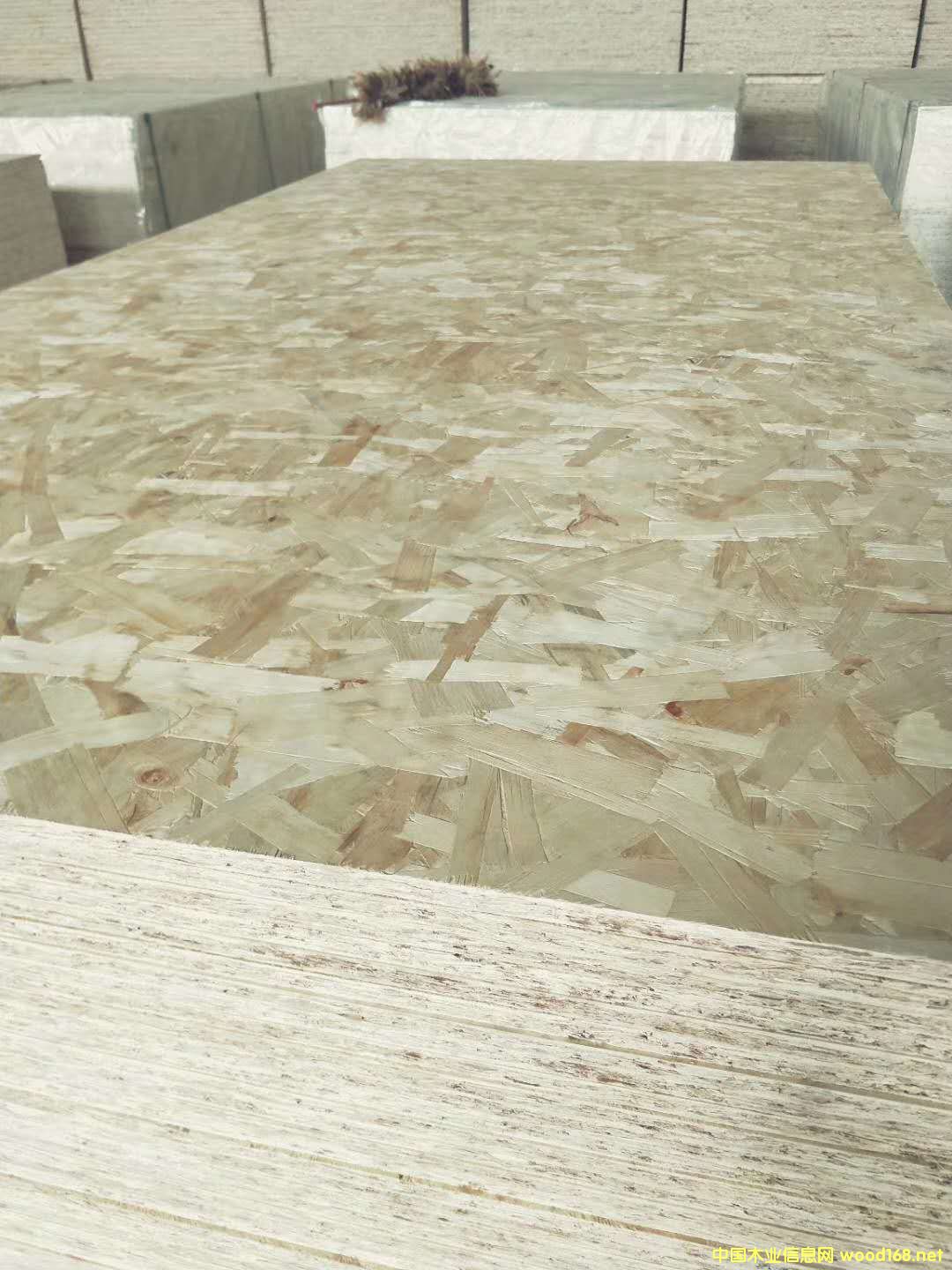 OSB�W�ɰ��Ԕ��(x��)��B