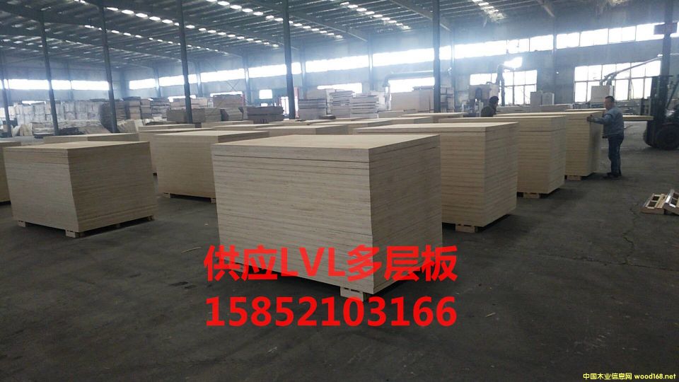 �������ɳ�l(f��)��