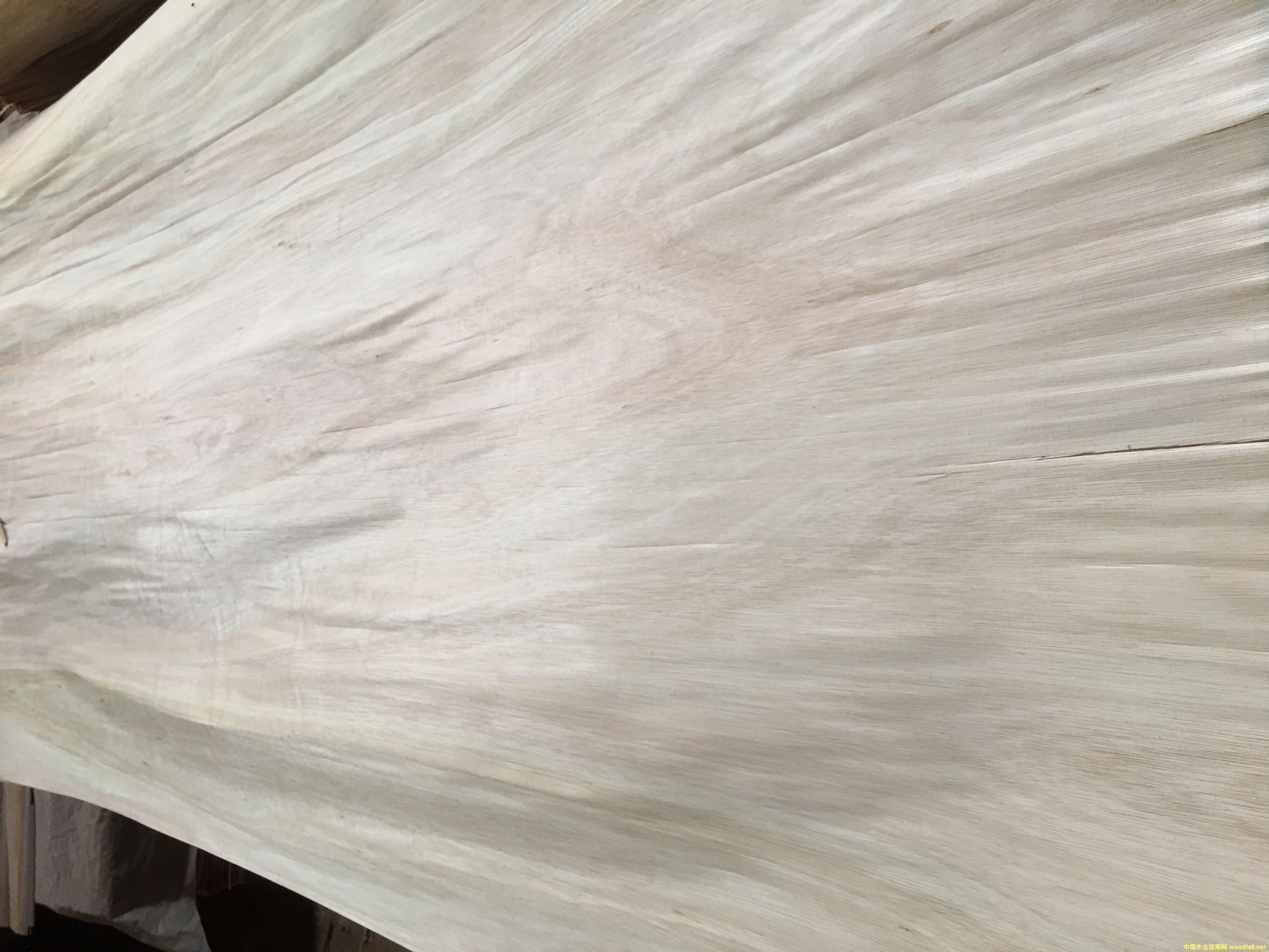 ��������ľ���a(ch��n)��Ƥ�������ʸߵ�Ԕ��(x��)��B