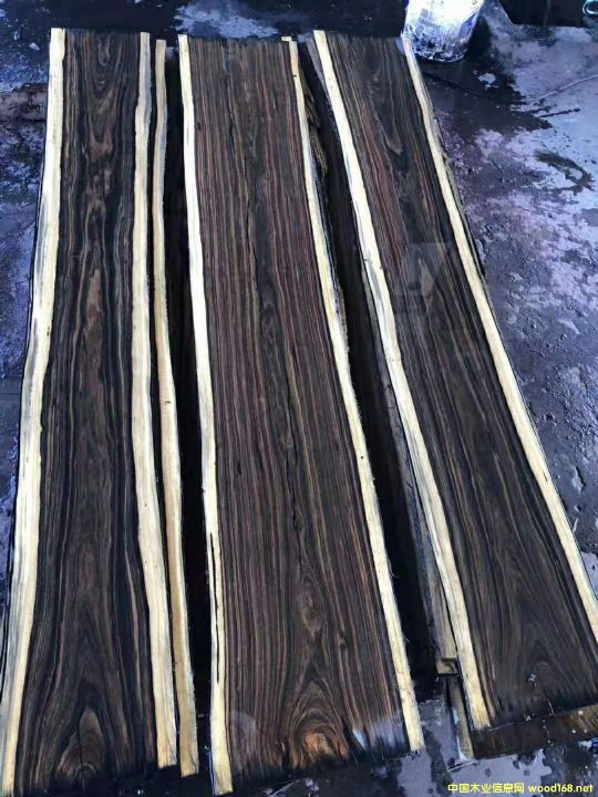 [��] �L�ڹ���(y��ng)���F�����|����֦����ɰ��