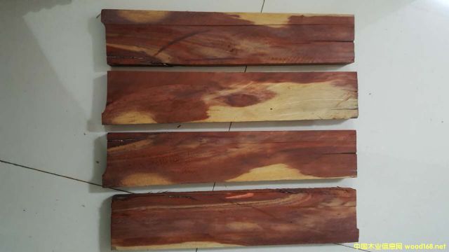 ��̴ cam wood��Ԕ����B