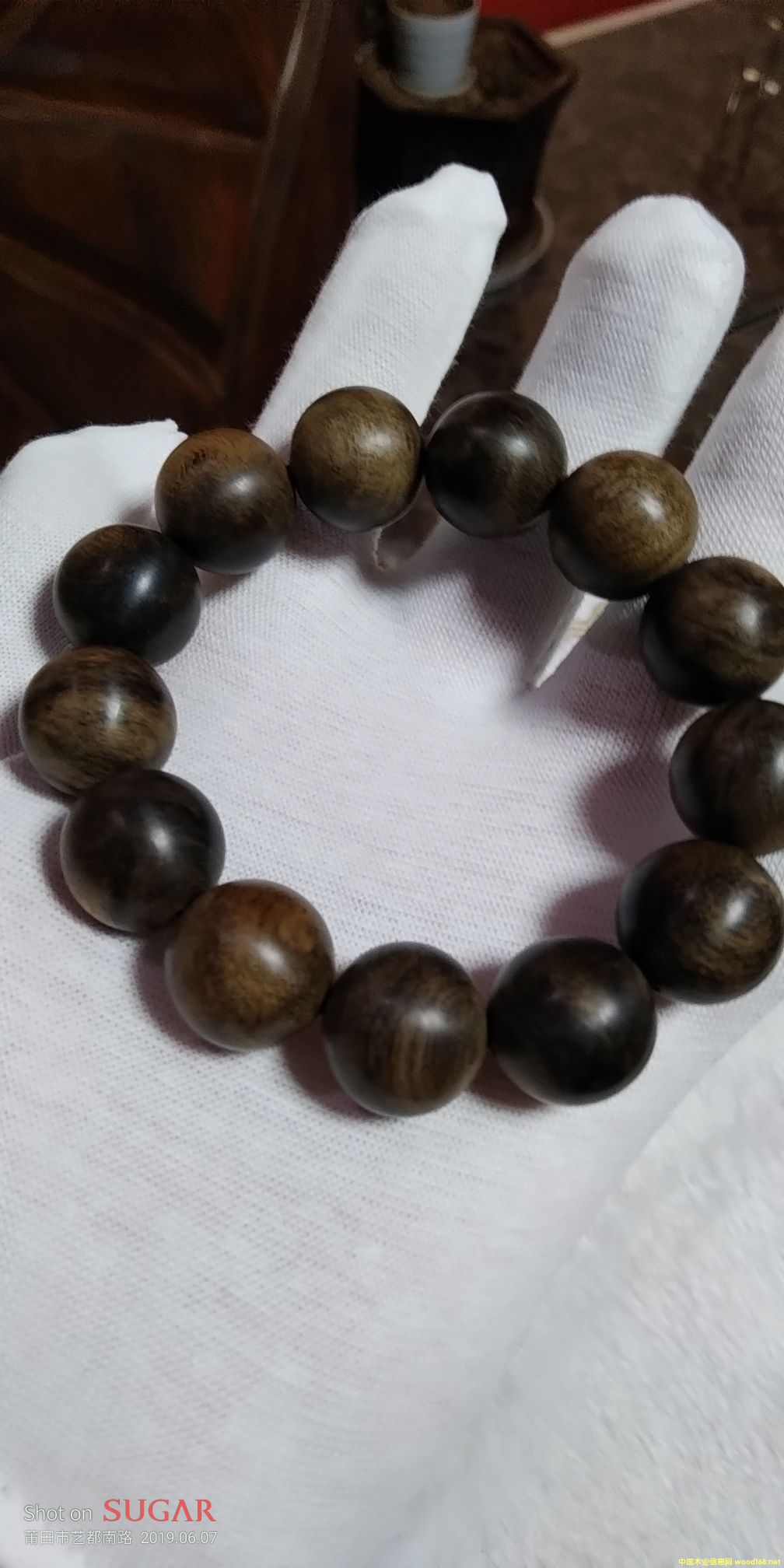 ���������Ԕ����B