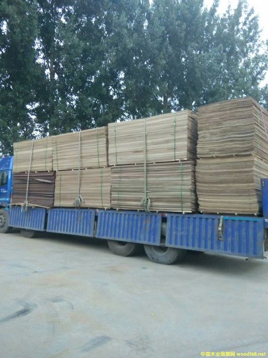 �͇�(gu��)��о