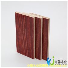 �ߌӽ���ģ��