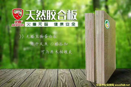 �o(w��)ȩ���ӼҾ߰�