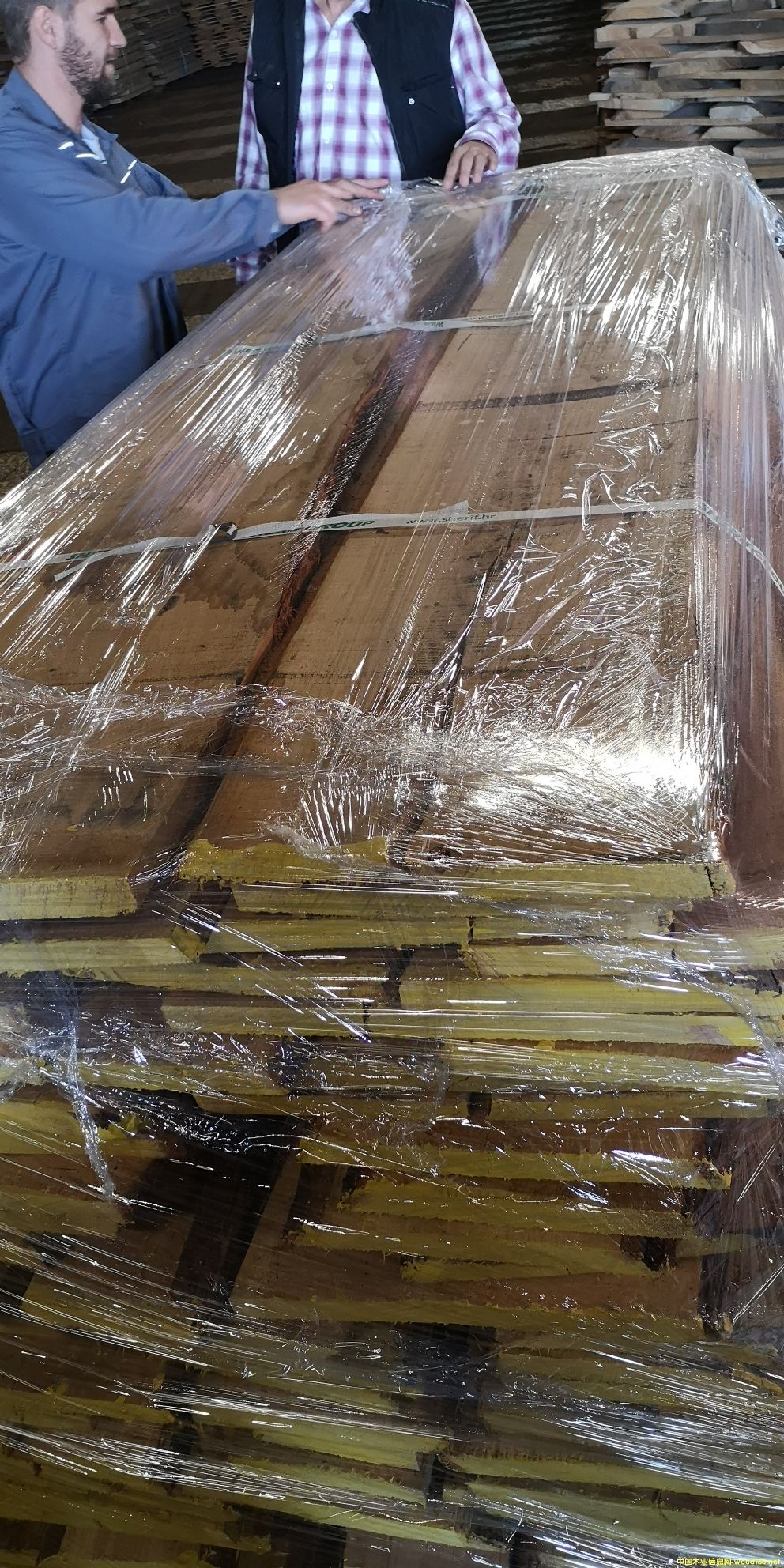 ��ľ���FSC��Ԕ��(x��)��B