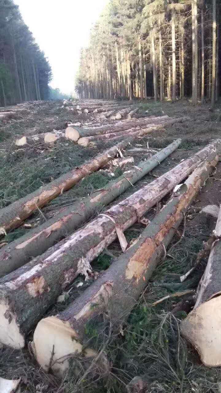 ����(gu��)��ɼ