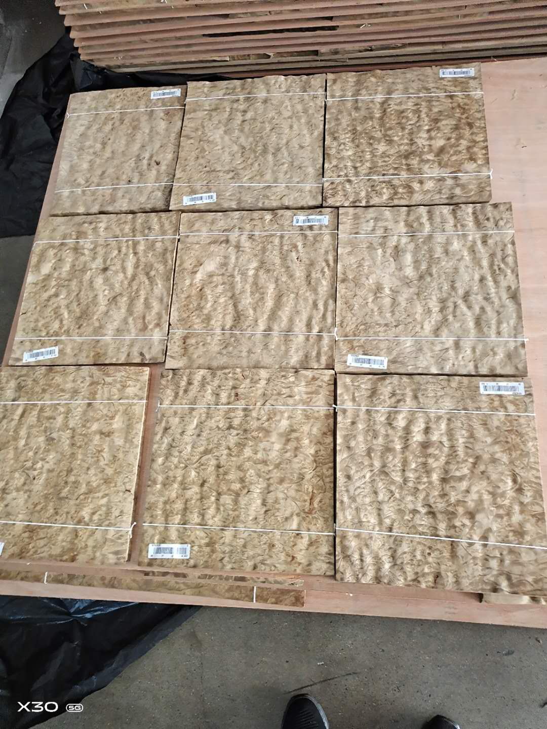 ɽ��������Ԕ��(x��)��B