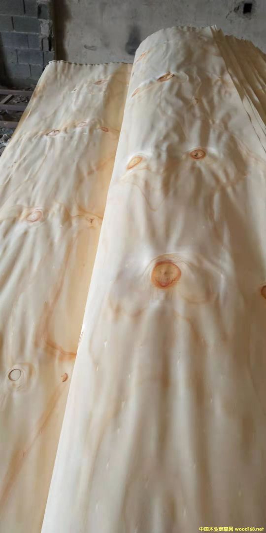  ݗ���ɵ�Ԕ��(x��)��B