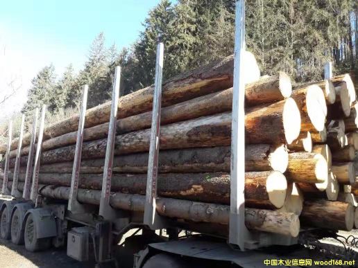 原木的詳細(xì)介紹