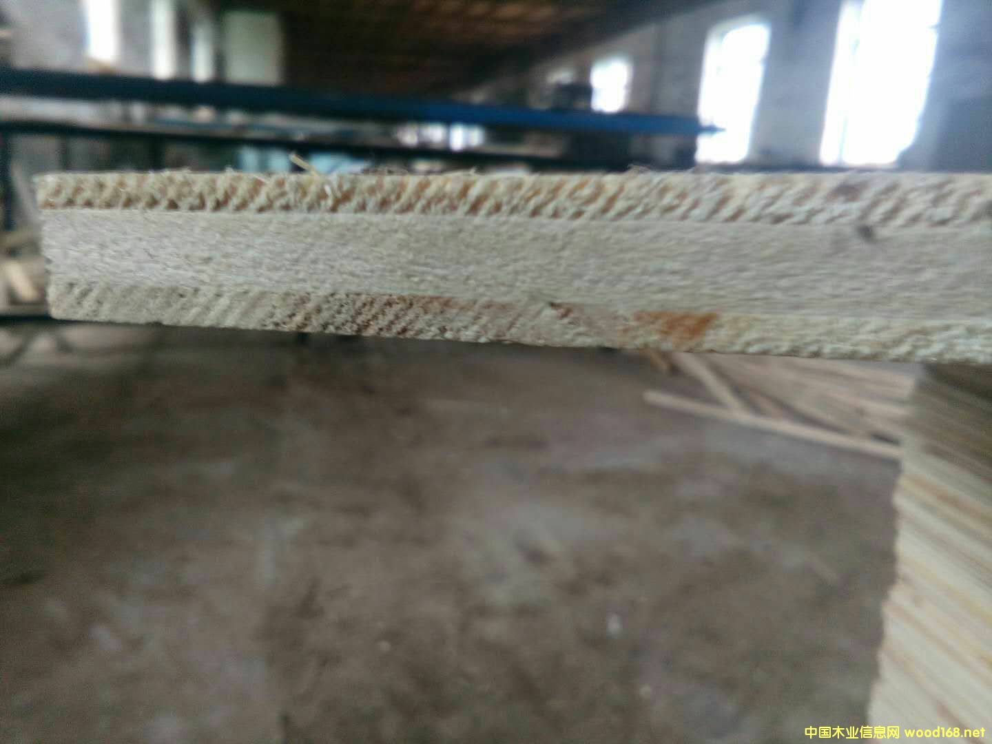 [��] ��ľ��оо��