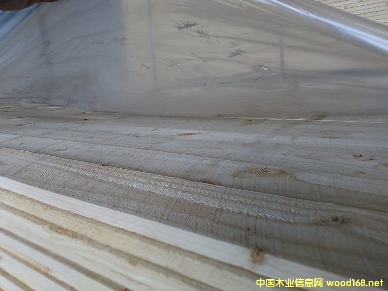 ARAUCO�Ҿ߼�(j��)��Ԕ��(x��)��B