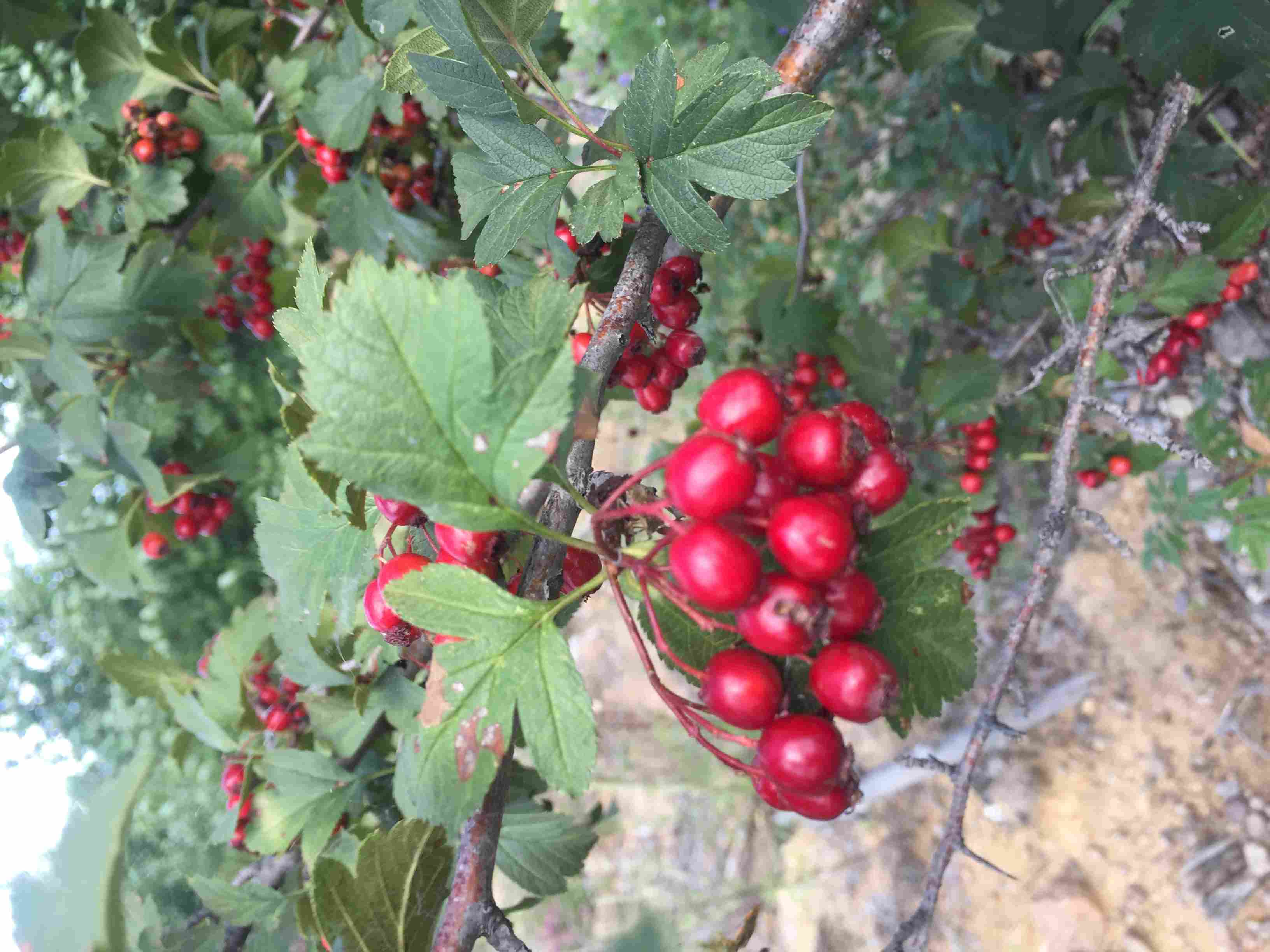 ������������ ë�l