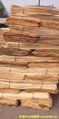 ��ľ�ΰ��Ԕ��(x��)��B