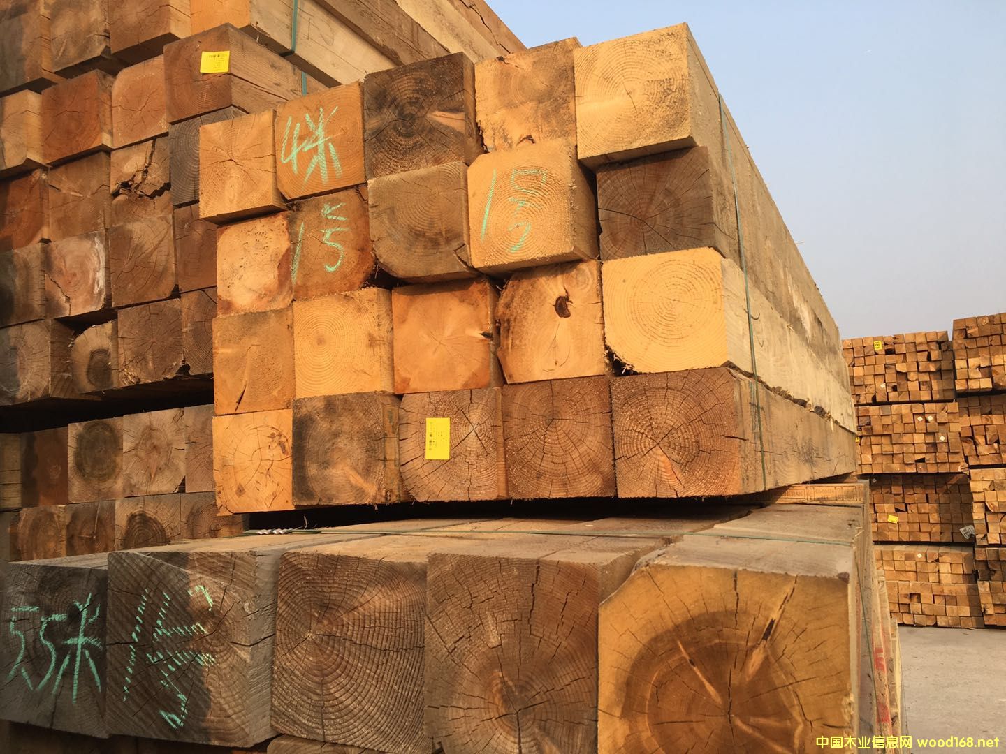 �Fɼ����203*203��Ԕ����B