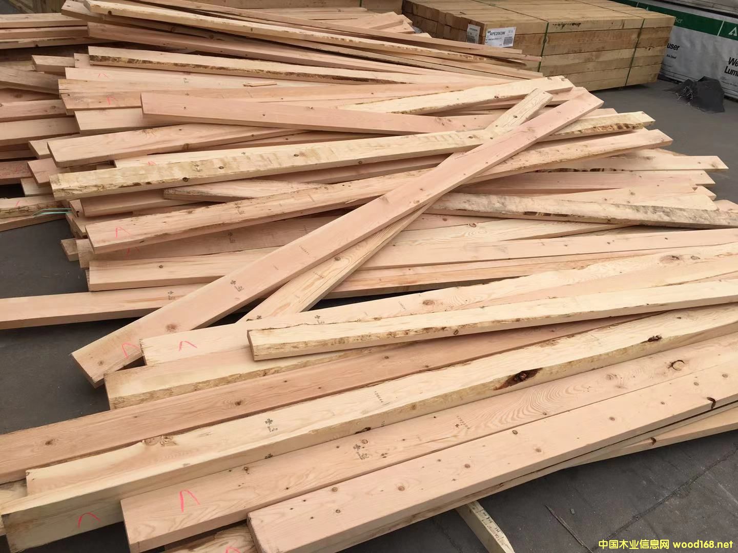 �Fɼ�������2*6��Ԕ����B