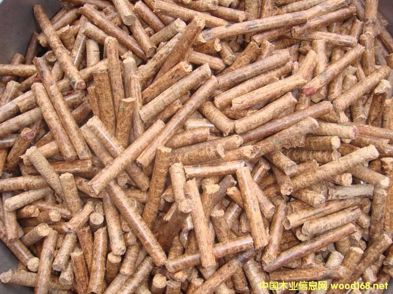 [��] ���������|(zh��)�w�� ��ľ�w�� �����������w��