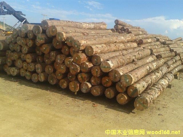 �Ϸ��S�ɵ�Ԕ����B