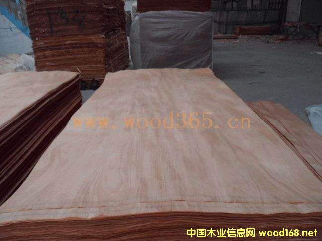 紅橄欖的詳細(xì)介紹