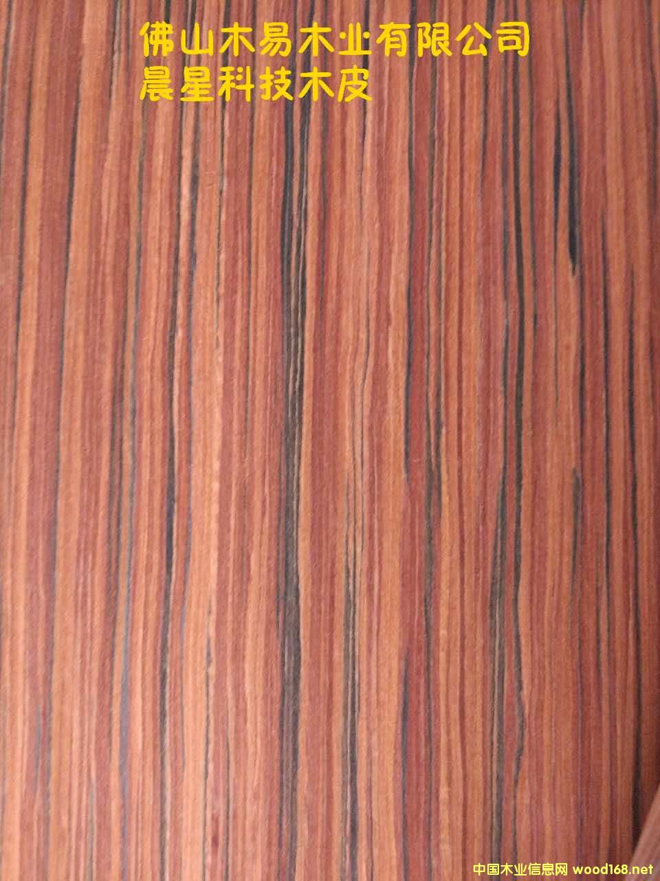 ��֦S��Ԕ����B